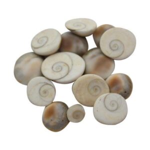 Gomathi Chakra (Small Size 21Pcs)