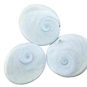 Gomathi Chakras (Large 3Pcs)